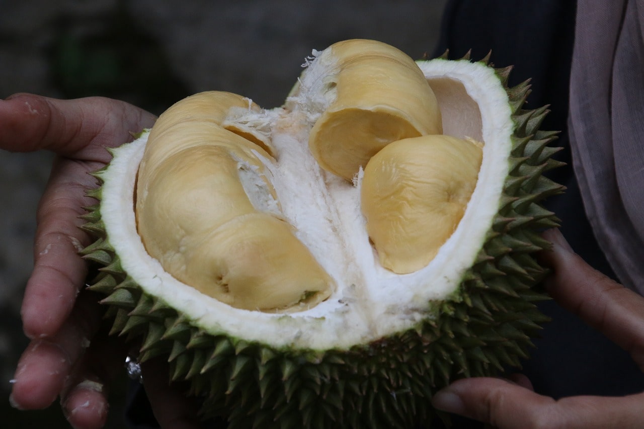 Durian 21 Awesome Things To Do and Eat in Kuala Lumpur